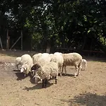 Casale Le Capanne Villa *